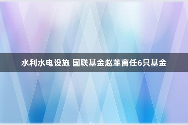 水利水电设施 国联基金赵菲离任6只基金
